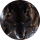 Типстер kasvik