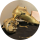 Типстер scobaba54