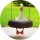 Типстер KaczaZajawka