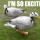 Типстер Drama