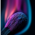 Типстер Vikta_Hunter