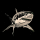 Типстер xewe