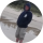 Типстер Adam Dyzma