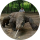 Типстер manmid