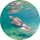 Типстер acquaman