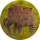 Типстер danielpitia108