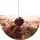 Типстер WarleyENTips