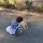 Типстер amineelabid913