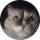 Типстер Bichi
