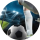 Типстер ROI_FC